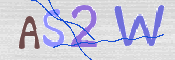 この文字を入力してください