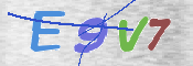 この文字を入力してください