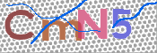 この文字を入力してください