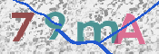 この文字を入力してください