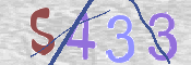 この文字を入力してください