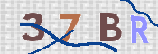 この文字を入力してください