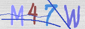 この文字を入力してください