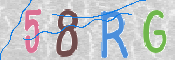 この文字を入力してください