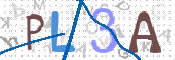 この文字を入力してください