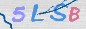 この文字を入力してください