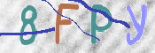この文字を入力してください