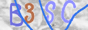 この文字を入力してください