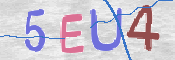 この文字を入力してください