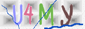 この文字を入力してください