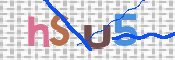 この文字を入力してください