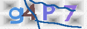 この文字を入力してください