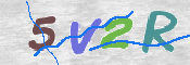 この文字を入力してください