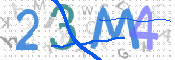 この文字を入力してください