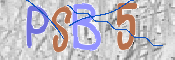 この文字を入力してください