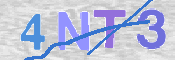 この文字を入力してください