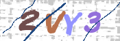 この文字を入力してください