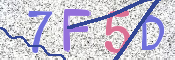この文字を入力してください