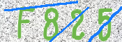 この文字を入力してください