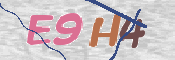 この文字を入力してください
