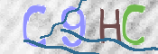 この文字を入力してください