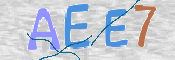 この文字を入力してください