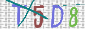 この文字を入力してください