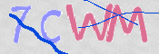 この文字を入力してください