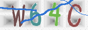 この文字を入力してください