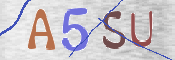 この文字を入力してください