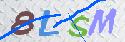 この文字を入力してください