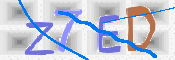 この文字を入力してください