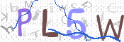 この文字を入力してください