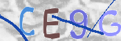 この文字を入力してください