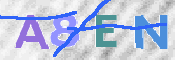 この文字を入力してください