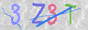 この文字を入力してください