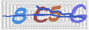 この文字を入力してください