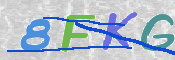 この文字を入力してください