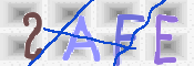 この文字を入力してください