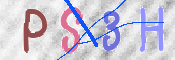 この文字を入力してください
