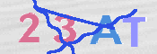 この文字を入力してください