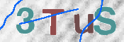 この文字を入力してください