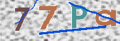 この文字を入力してください