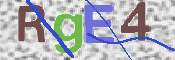 この文字を入力してください