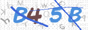 この文字を入力してください