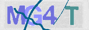 この文字を入力してください