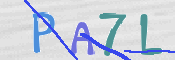 この文字を入力してください