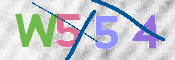 この文字を入力してください