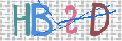 この文字を入力してください