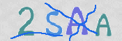 この文字を入力してください
